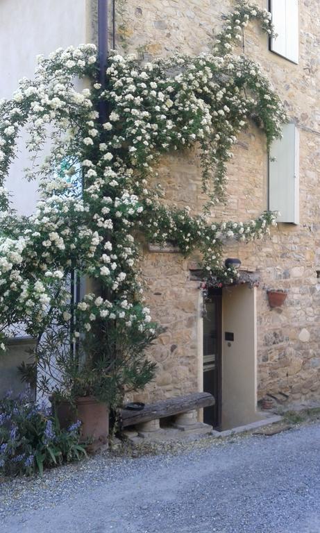 Agriturismo Il Gelso Traversetolo Dış mekan fotoğraf